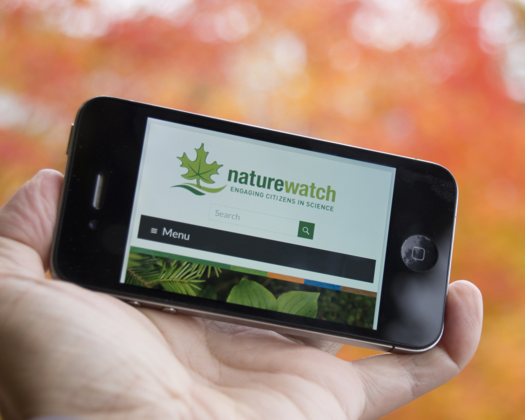 NatureWatch on a SmartPhone